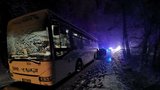 Opilá řidička u Prahy ujížděla policistům: Střelba a nabouraný autobus!