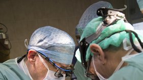 Unikátní operaci, při které provedli transplantaci dělohy, provedli lékaři pražského IKEMU.