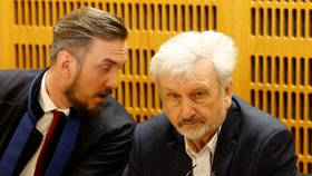 „To, že se nedívá na svého advokáta během toho, co mu advokát něco sděluje, značí apatický postoj, odevzdanost,“ vypozoroval Janečka.