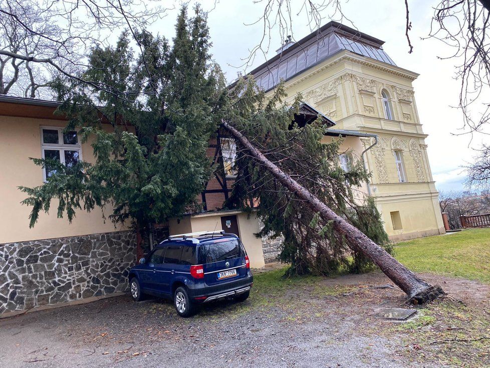 V ulici Jana Masaryka spadl strom na budovu školy, 10. února 2020.