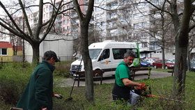 Jarní úklid v Praze 11: Jižní Město čistí po zimě chodníky a kácí stromy