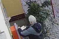 Pobodání a kulka do hlavy, hrozil v dopise Pavlovi i Němcové. Policie navrhla seniora (70) obžalovat