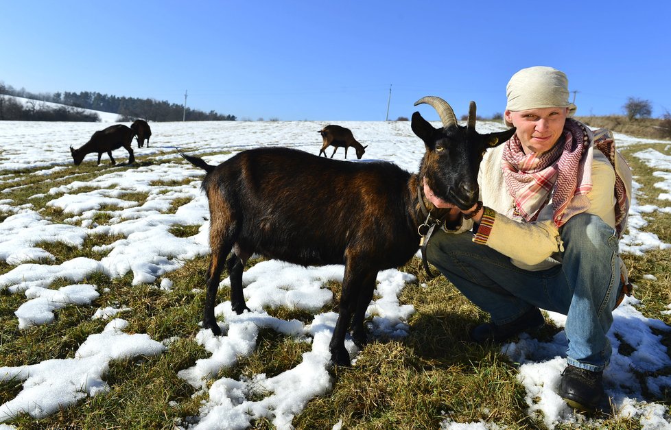 Ľubomír zachraňuje kozy před hrozným osudem. Nedaleko Jílové u Prahy má pět kozích dam.