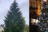 Vánoční strom na Staromáku ozdobí kilometry světelných řetězů. Slavnostní rozsvícení si ale užijeme jen online