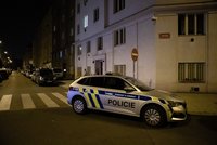 Domácí rvačka v Dejvicích: Žena (49) bodla partnera (45) nožem, skočila na záchytce!