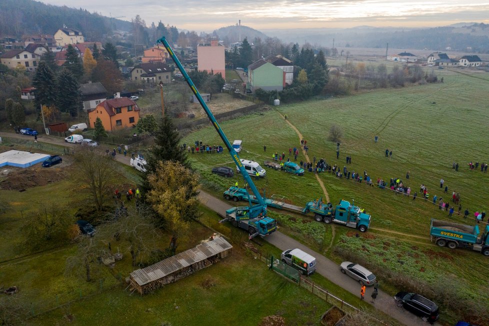 V neděli 22. listopadu pokáceli strom v Kamenném Přívozu, který bude zdobit Vánoce 2020 na Staroměstském náměstí v Praze.