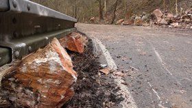 V ulici Na Cikánce popadaly kameny do silnice. TSK ji uzavřela.