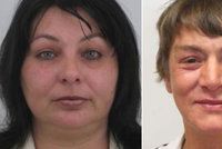 Juliana (52) a Michaela (37) zmizely: Bydlí na Karlovarsku, nejspíš jsou v Praze mezi bezdomovci