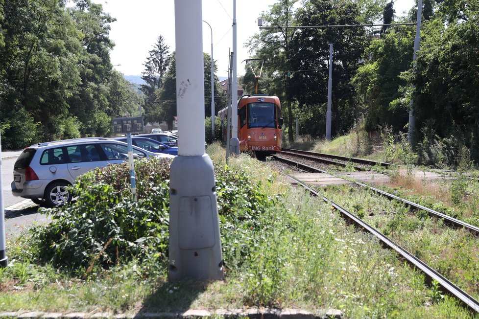 Při tragické nehodě v Troji zemřela řidička, nejspíš neviděla přes vysoký keř. Blesk ho ostříhal.