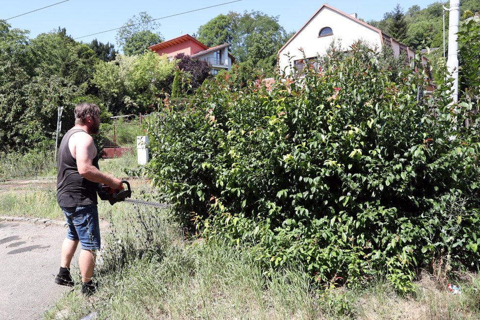 Při tragické nehodě v Troji zemřela řidička, nejspíš neviděla přes vysoký keř. Blesk ho ostříhal.