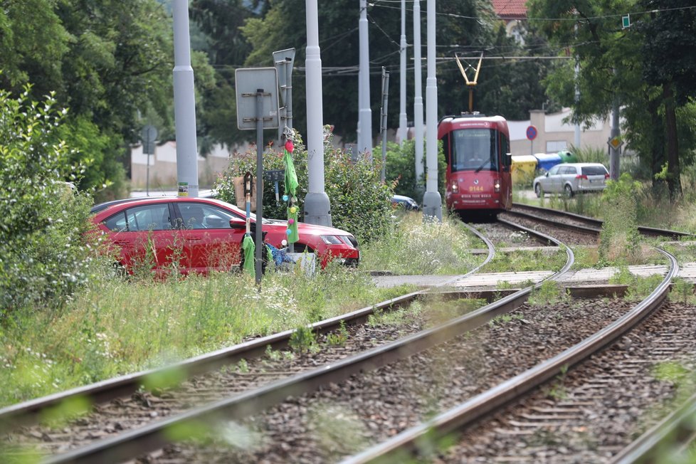 Při tragické nehodě v Troji zemřela řidička, nejspíš neviděla přes vysoký keř. Blesk ho ostříhal.