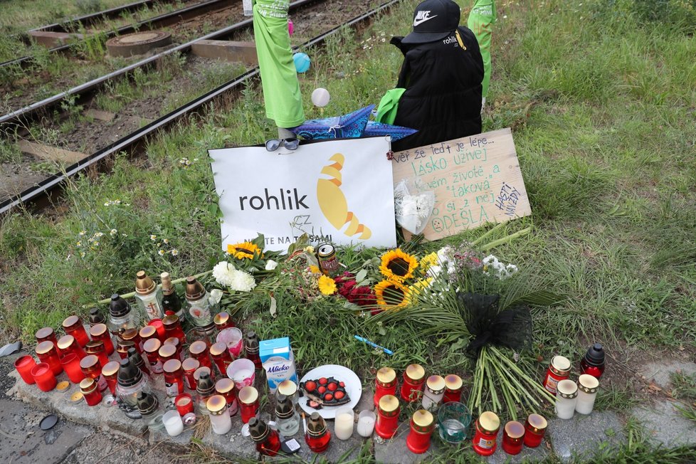 Při tragické nehodě v Troji zemřela řidička, nejspíš neviděla přes vysoký keř. Blesk ho ostříhal.