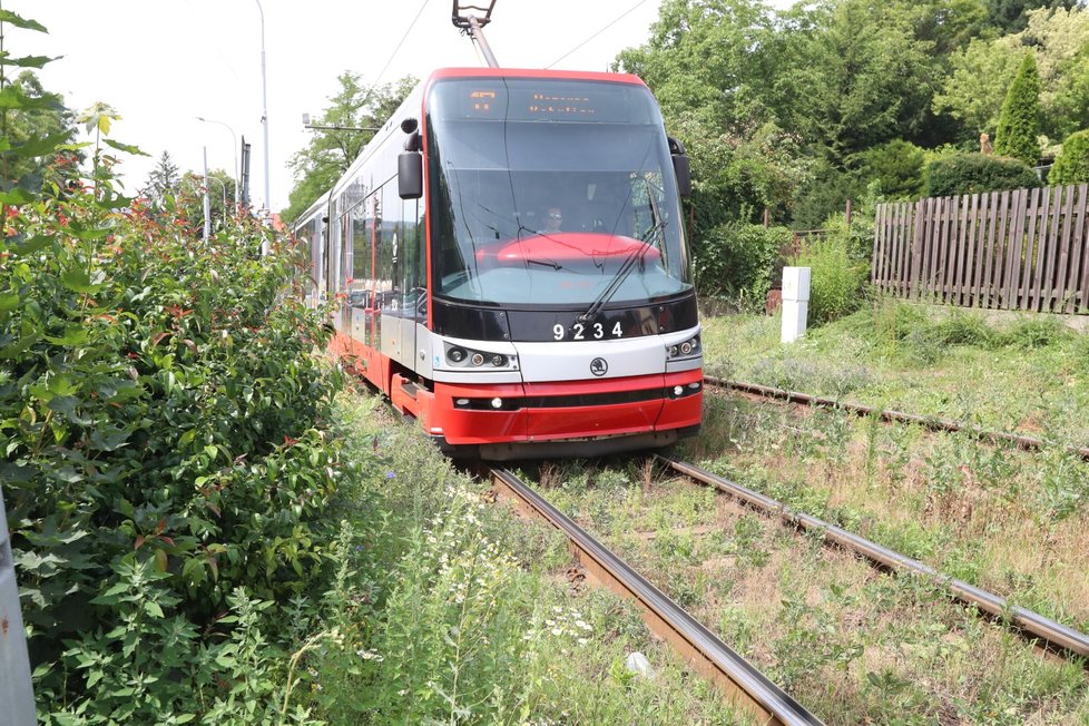 Při tragické nehodě v Troji zemřela řidička, nejspíš neviděla přes vysoký keř. Blesk ho ostříhal.