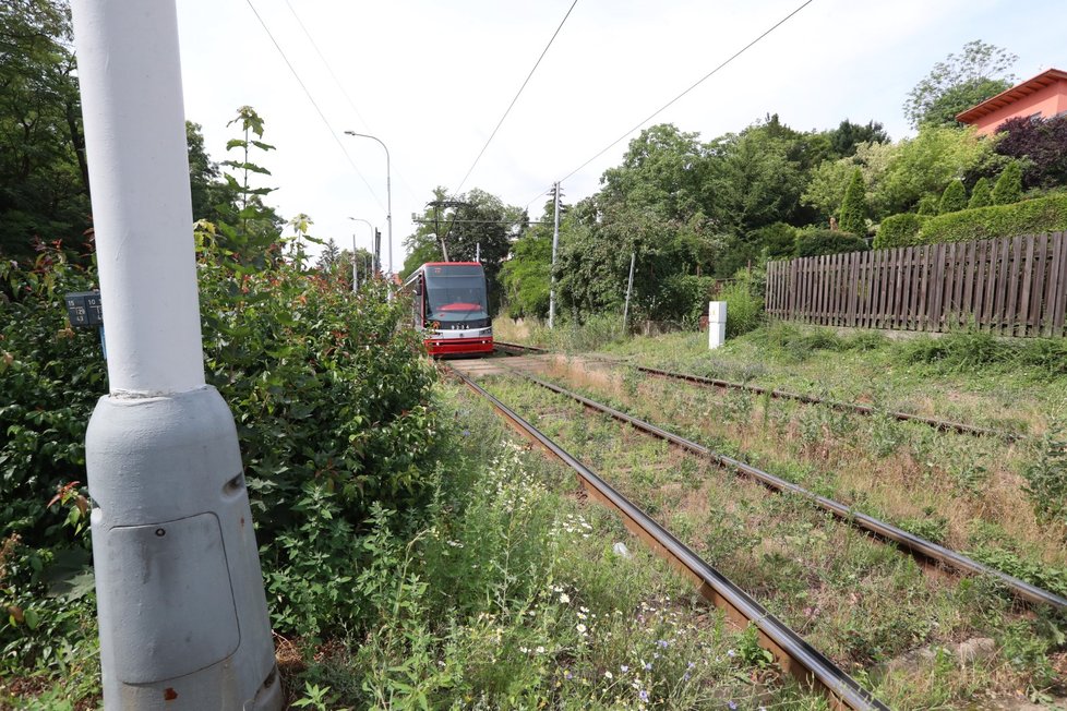 Při tragické nehodě v Troji zemřela řidička, nejspíš neviděla přes vysoký keř. Blesk ho ostříhal.