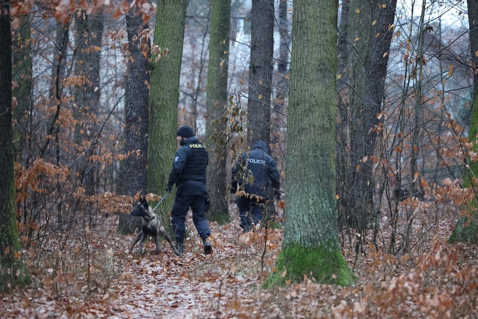Bezpečnostně-pátrací akce v Klánovickém lese. (20. prosince 2023)