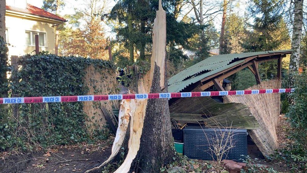 Na dětském hřišti v Klánovicích se vlivem silného větru zřítil strom.