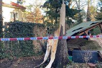 Orkán řádí v Praze: Na dvě děti (15, 14) spadl v parku strom! Z Klánovic je záchranáři vezli do nemocnice