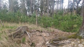 V Klánovickém lese se v dřívějších dobách nacházelo několik vesniček, které se nezachovaly. Jejich pozůstatky jsou však dodnes patrné.