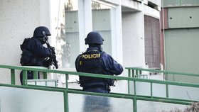 Zásahová jednotka policie ČR v akci