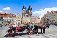 Opilý kočí nadýchal přes promile: Kůň je střízlivý, tvrdil policistům