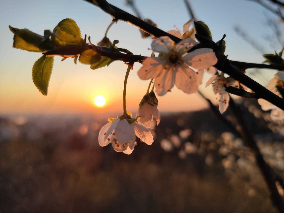 Vylidněná Praha (24. 3. 2020)