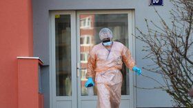 Česko se potýká s novou pandemií koronaviru. (ilustrační foto)