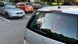 92 aut počmáral růžovými kosočtverci a s pistolí hrozil muži smrtí! Gauner skončil v Bohnicích