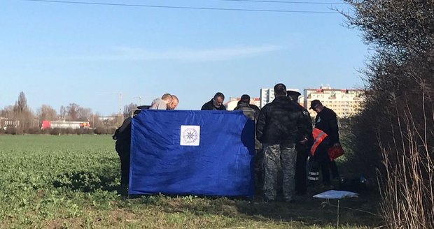 Záhada kostry z lesa na Jičínsku: Mrtvá nebyla pohřešovaná. Jak zemřela?