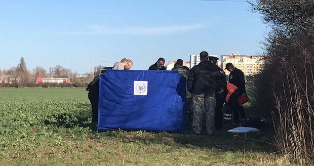 V lese na Jičínsku ležela mrtvola, případem se zabývá policie