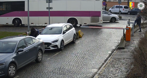 Pražští policisté prosí veřejnost o pomoc při pátrání po dvojici mužů, kteří jsou zachyceni na kamerovém záznamu.