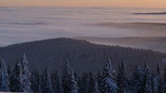 Lesnické firmy vypověděly Lesům České republiky většinu zakázek