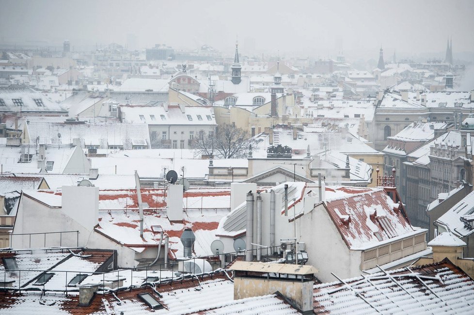 Dlouhodobá průměrná teplota v ČR v období mezi 8. lednem a 4. únorem je minus 1,5 stupně Celsia.