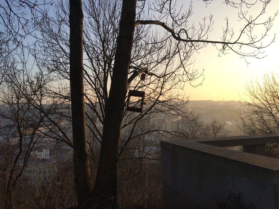 Na Vítkově se nachází 20 krmítek, které zde umístily Lesy Praha, další sem dávají i kolemjdoucí. Využívají je především sýkorky.