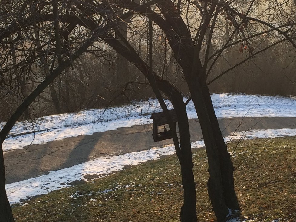 Na Vítkově se nachází 20 krmítek, které zde umístily Lesy Praha, další sem dávají i kolemjdoucí. Využívají je především sýkorky.