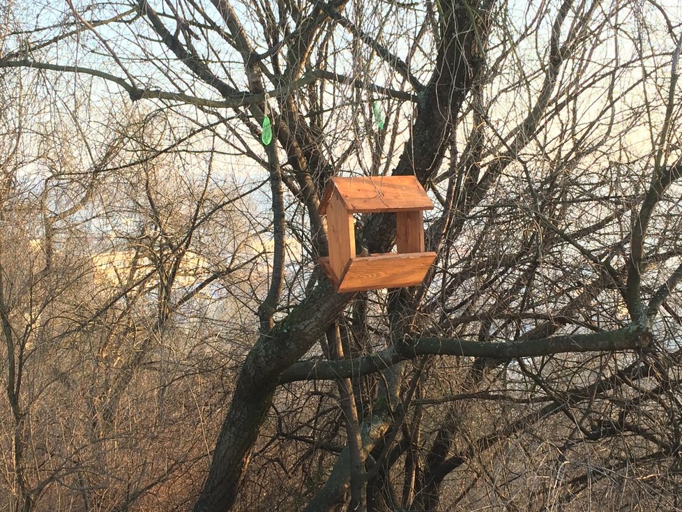 Na Vítkově se nachází 20 krmítek, které zde umístily Lesy Praha, další sem dávají i kolemjdoucí. Využívají je především sýkorky.