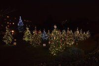 Vánoce ve Vršovicích: O víkendu tu rozsvítí vánoční strom i stromky, které zdobily děti