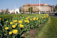 Boj s dopravními zácpami vyřeší Praha 6 svérázně. Nejen na Evropské přibudou pruhy pro autobusy