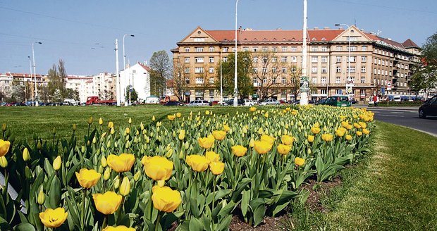 Boj s dopravními zácpami vyřeší Praha 6 svérázně. Nejen na Evropské přibudou pruhy pro autobusy