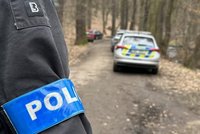 Přepadl a znásilnil ženu (37) v Kunratickém lese! Desítky policistů pátrají po stopách