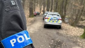 Přepadl a znásilnil ženu (37) v Kunratickém lese! Policisté našli stopy, útočník stále uniká