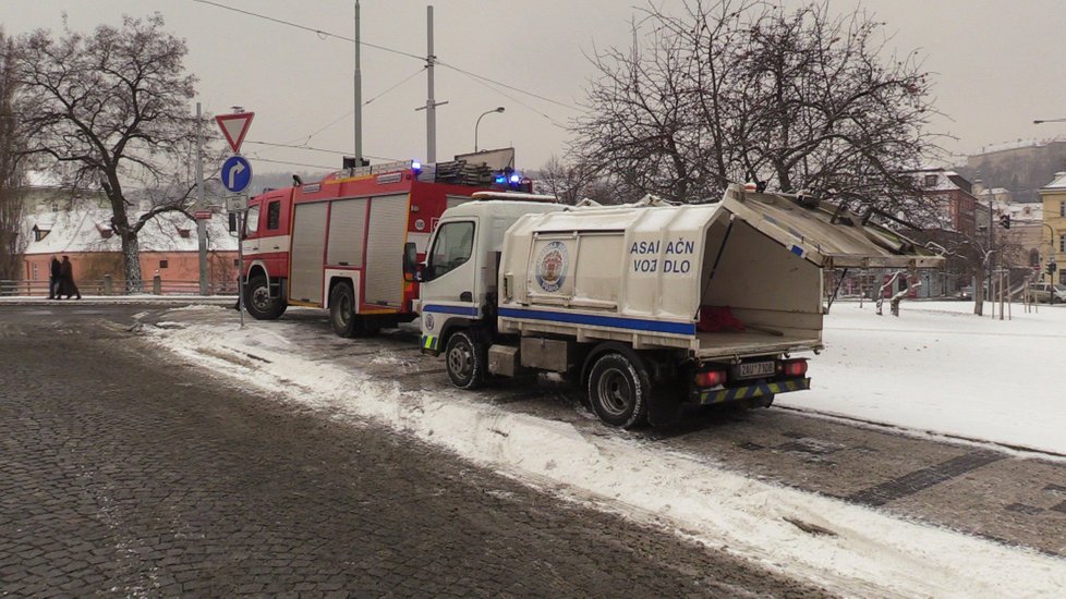 Hasiči lovili z Vltavy mrtvá těla labutí. Může za to ptačí chřipka?