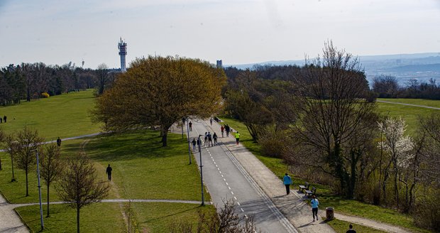 Dubnové počasí v Praze je kolikrát jako na houpačce. Jeden den prší, druhý sněží, a třetí svítí sluníčko - a lidé vyrážejí do parků a zahrad. (11. duben 2021)