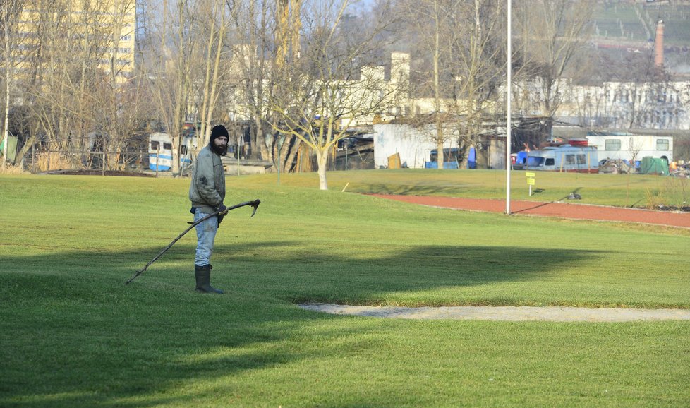 Místo golfistů na hřišti v Lahovicích můžete spatřit ovečky s pasáčkem