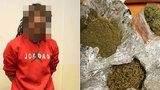 Pervitin a přes půl kila marihuany! Policisté si posvítili na kriminálníka v Libni