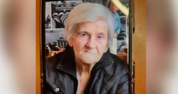 Pátrání po Libuši Pátrání po Libuši