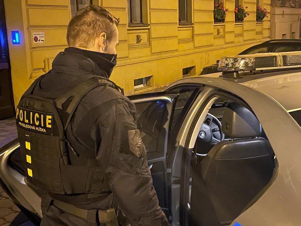 Policisté dopadli muže, který se vloupával do domů.