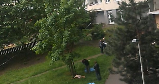 Praha, Lužiny: Pád muže z balkónu prošetřuje policie