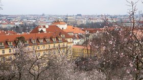 Počasí v Praze: Jaro ve vzduchu, teploty vyšplhají až k dvacítce, obloha bude zamračená
