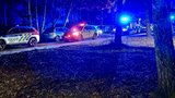 Krvavý horor u Prahy: Mladíka (20) obvinili z těžkého ublížení na zdraví! Příbuzného střelil do hrudi