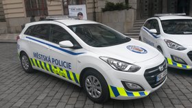 Městská policie Praha.